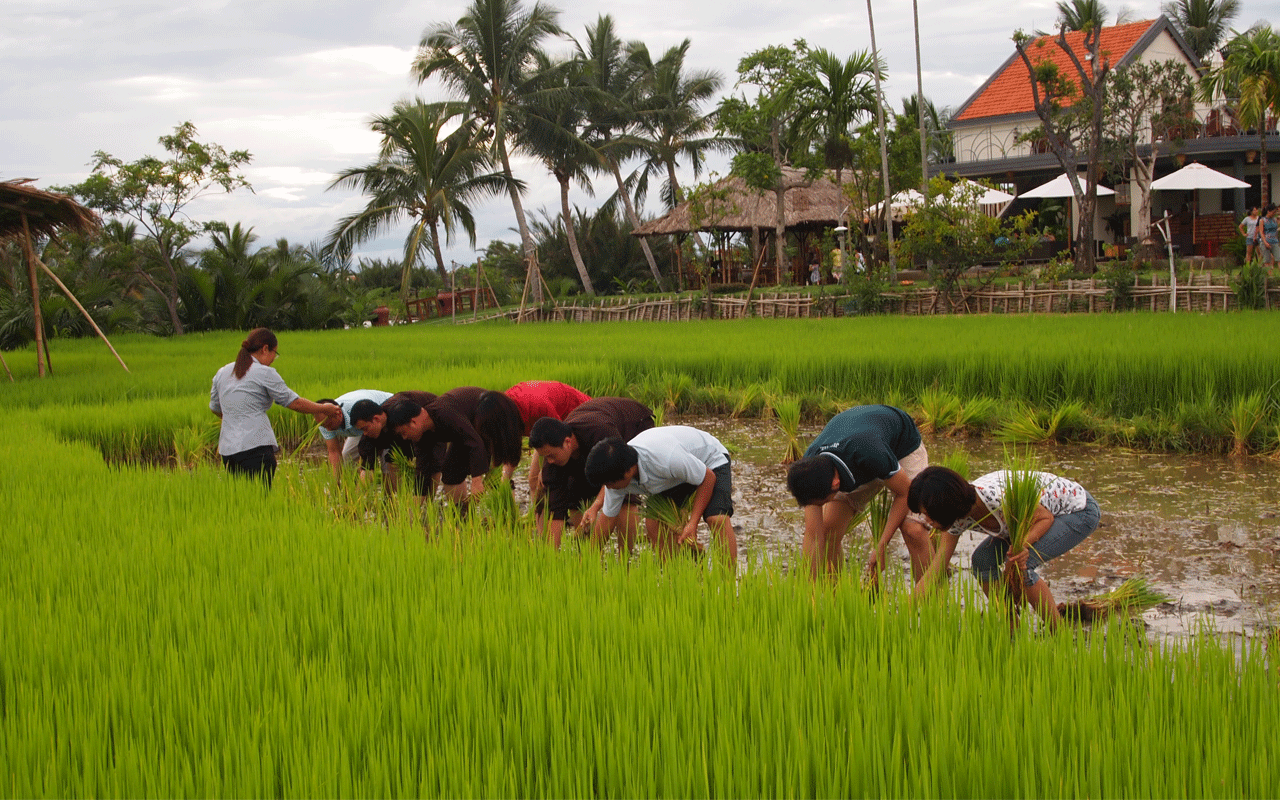 Taste of Vietnam and Cambodia